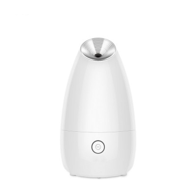 Facial Steamer Nano Ionic Facial Sprayer Warm Mist Moisturizing Face Steamer Cleansing Pores Home SPA Face Steamer Sprayer