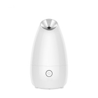 Facial Steamer Nano Ionic Facial Sprayer Warm Mist Moisturizing Face Steamer Cleansing Pores Home SPA Face Steamer Sprayer